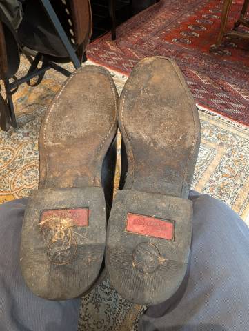 Bottes de dressage Konigs 43