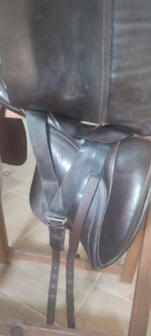 Selle dressage allures