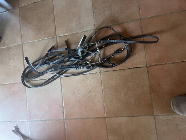 Bride dressage neuve