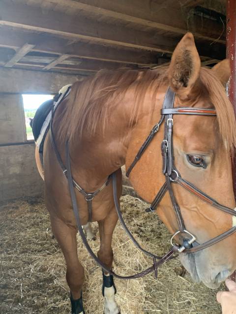 &Agrave; vendre filet Greenfield 