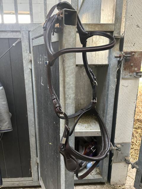 Bridon stubben freedom