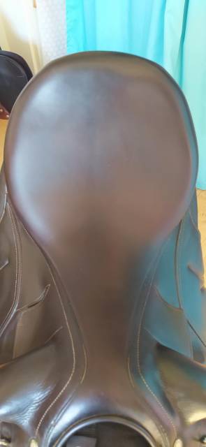 Selle dressage Media