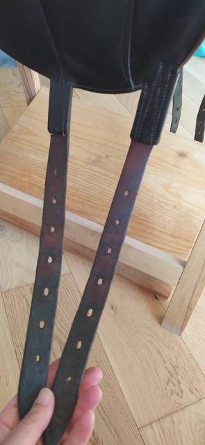 Selle dressage Media