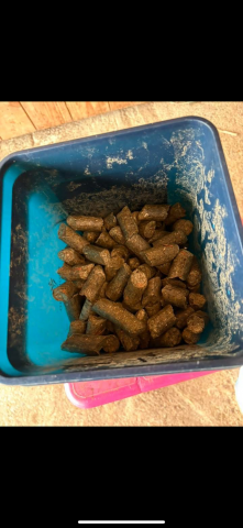 Compl&eacute;ment alimentaire ulc&egrave;res 