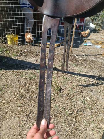 Selle monoquartier forestier 