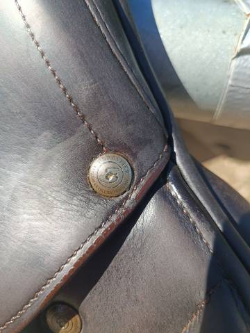 Selle monoquartier forestier 