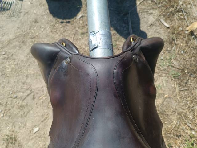 Selle monoquartier forestier 