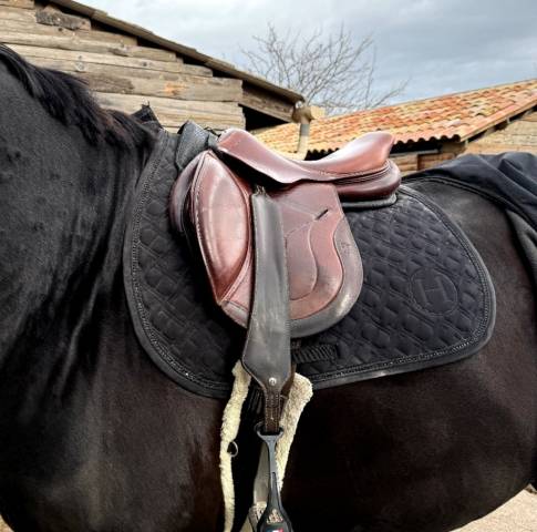 Selle Jump'in taille 17,5 couleur marron