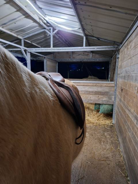 Selle Fouganza Romeo 17,5 