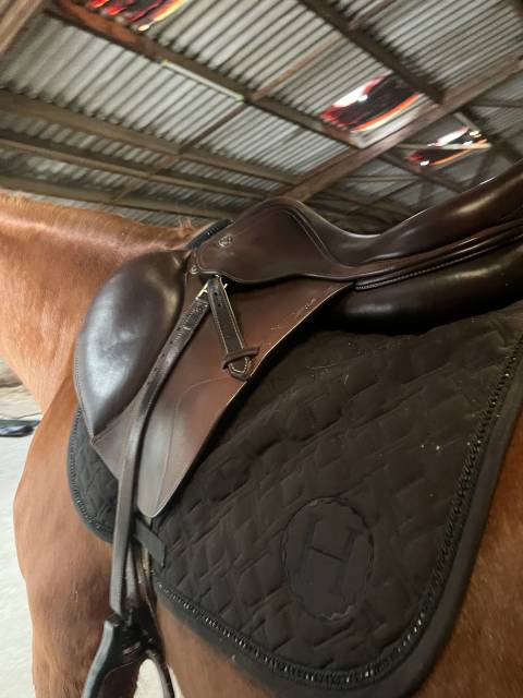 Selle X perience Prestige