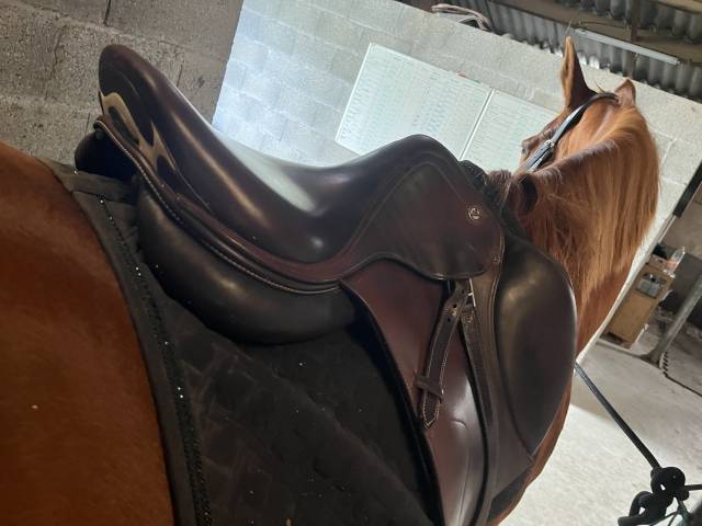 Selle X perience Prestige