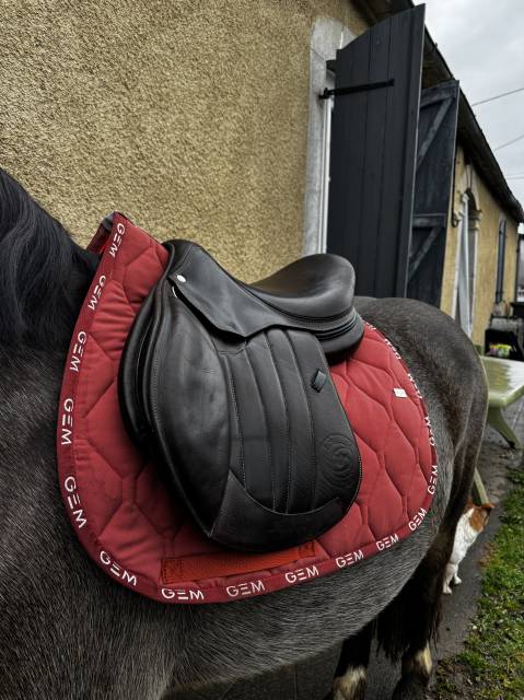 Selle forestier S&eacute;oul 