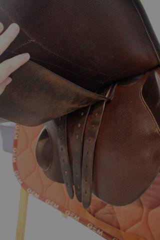 Selle forestier S&eacute;oul 