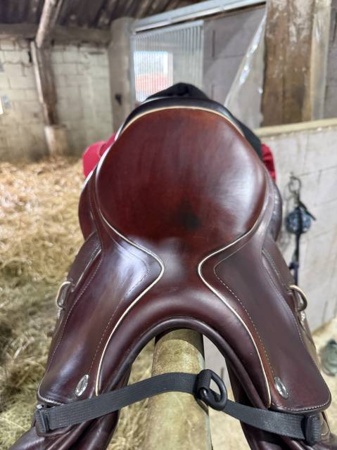 Selle Cwd 2GS mademoiselle 