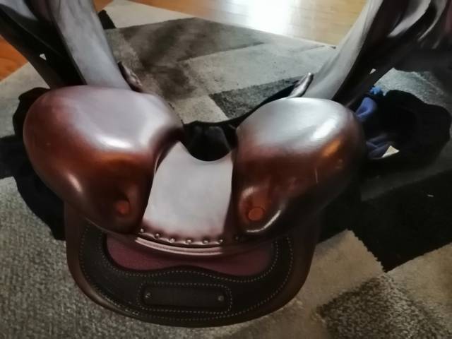 selle Delgrange, mod&egrave;le Partition 17"