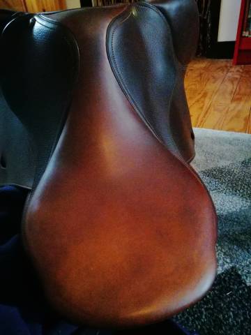 selle Delgrange, mod&egrave;le Partition 17"