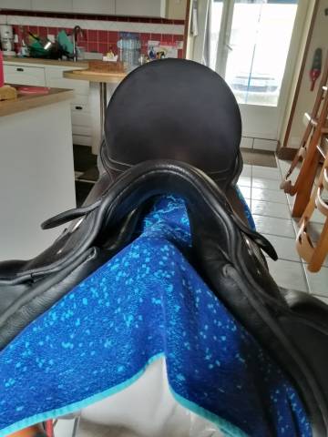 selle dressage Passier 17"