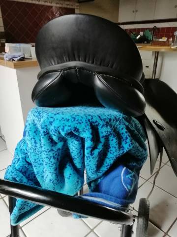 selle dressage Passier 17"