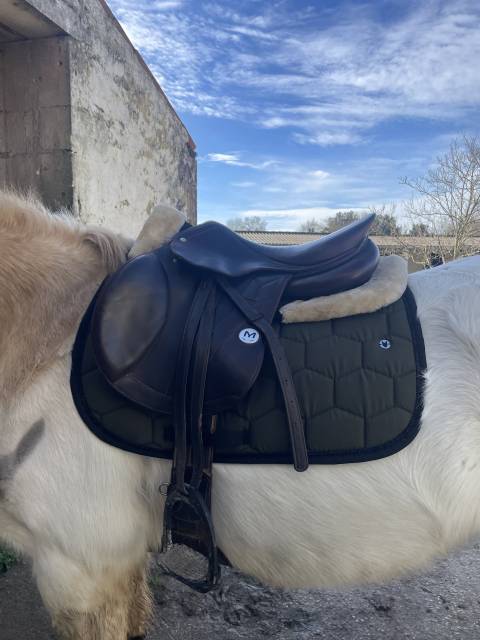 Selle Meyer 17 pouces