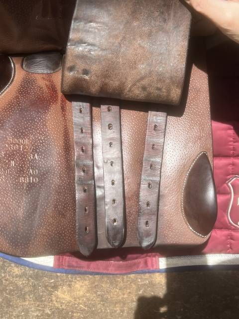 Selle Forestier SEOUL 2023 18&nbsp;pouces 