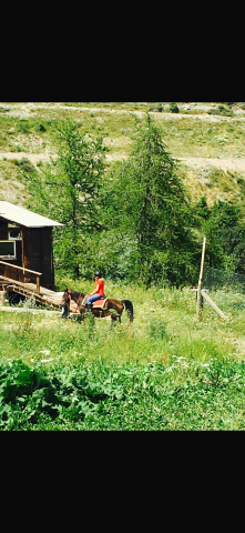 Demande de poste : Cavali&egrave;re Soigneuse confirm&eacute;e en ext