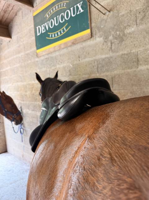 Selle devoucoux chiberta O