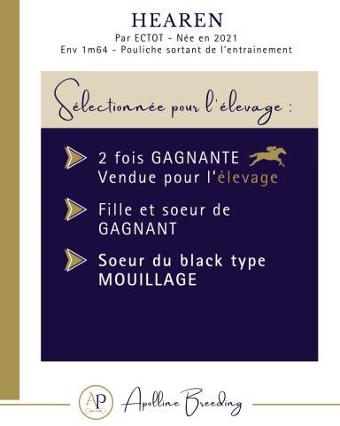 Jument deux victoires soeur de black type