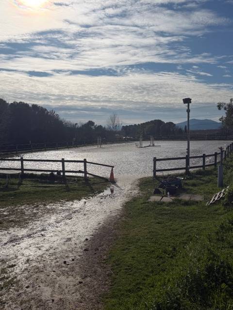 VEND FONDS DE COMMERCE CENTRE EQUESTRE LES MURETTES VAR