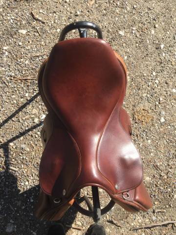 Selle Rodrigo Pessoa 17 pouces