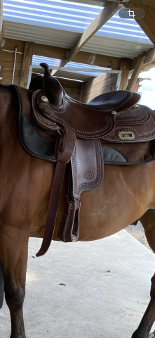 Selle western Pools full quarter 