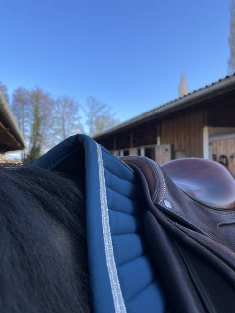 Selle Forestier modele S&eacute;oul 16,5