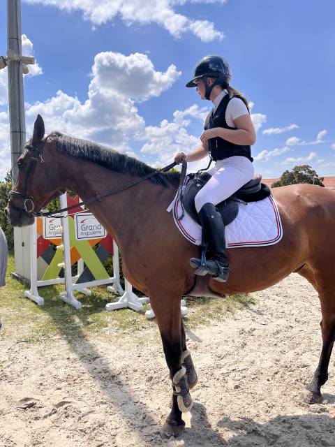 Selle Renaissance 17 pouces F2 semi creux 