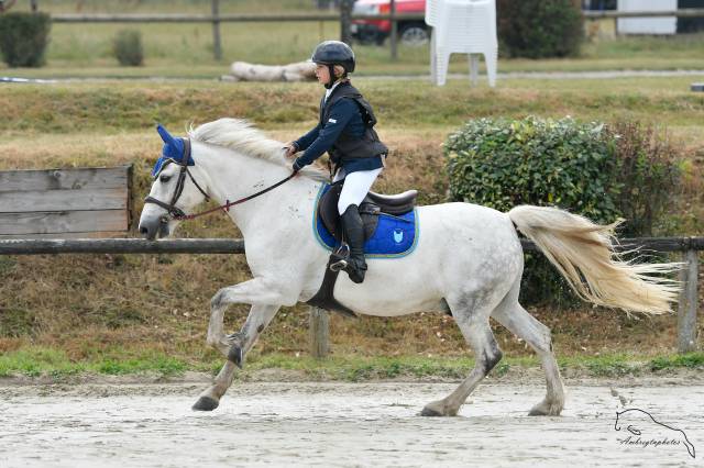 Selle Renaissance 17 pouces F2 semi creux 