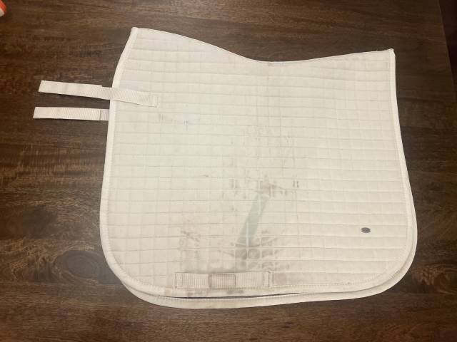 Tapis de selle dressage Showmaster