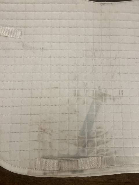 Tapis de selle dressage Showmaster