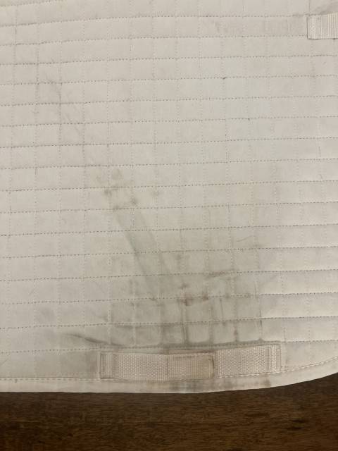 Tapis de selle dressage Showmaster