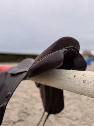 Selle Forestier Boeckelo