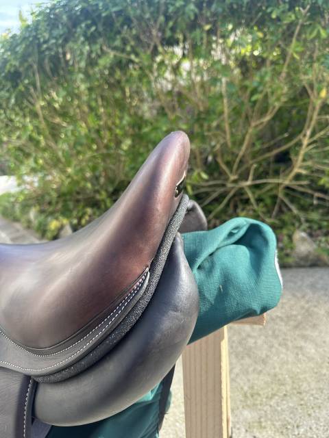 Selle d&rsquo;obstacle forestier taille 17, septembre 2023