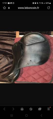 Selle CHETAK noire mixte 