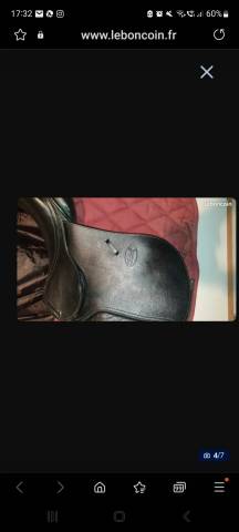 Selle CHETAK noire mixte 