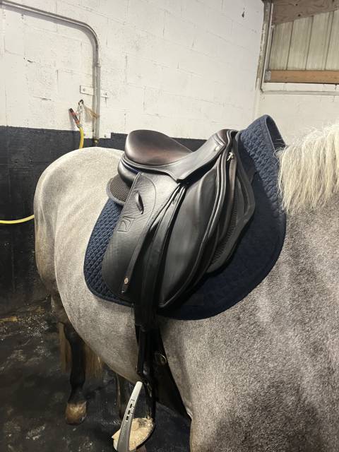 2000&euro; / Selle Childeric doubl&eacute; veau 17,5 de 2025 