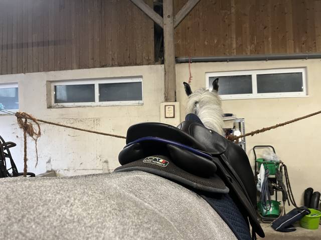 2000&euro; / Selle Childeric doubl&eacute; veau 17,5 de 2025 