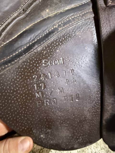 Selle Forestier S&eacute;oul 17 2024