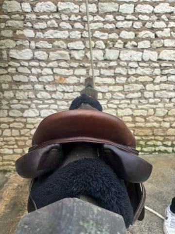 Selle Forestier S&eacute;oul 17p