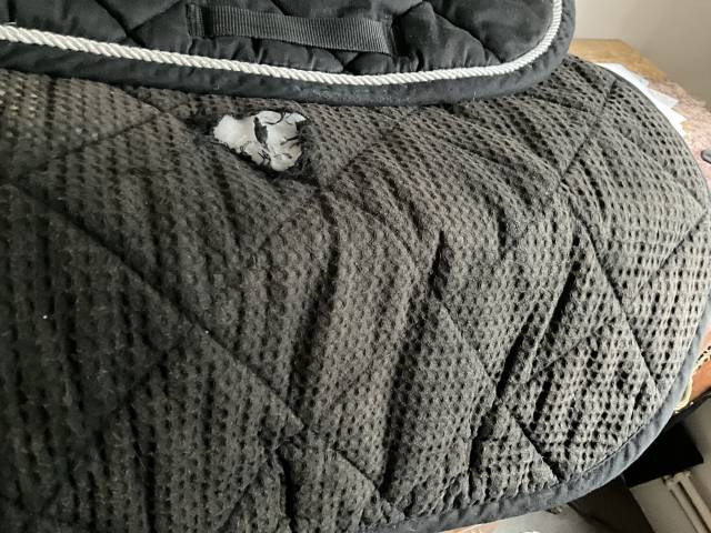 Tapis cheval Libert&eacute; 