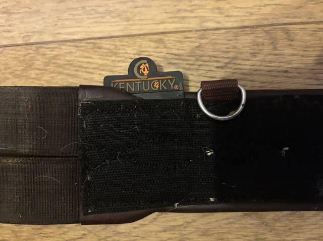 Sangle Kentucky