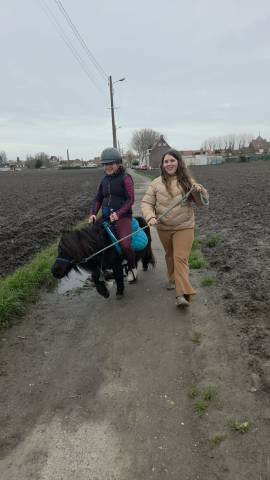 Shetland, d&eacute;bourr&eacute; 