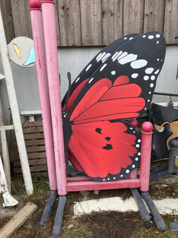 Lot d&rsquo;obstacles Safari 