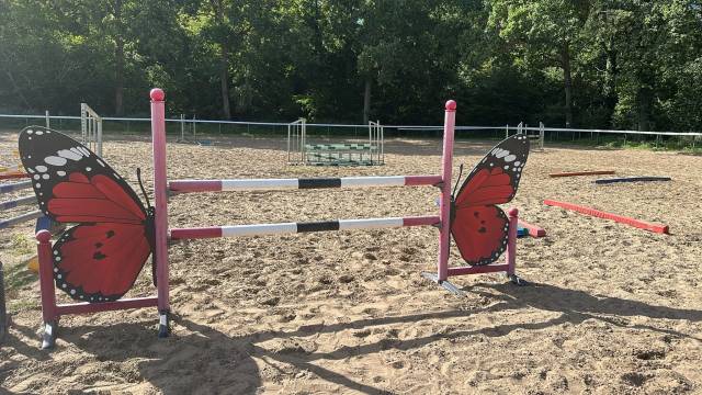 Lot d&rsquo;obstacles Safari 