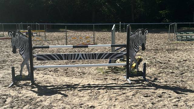 Lot d&rsquo;obstacles Safari 